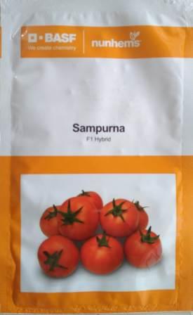 uploads/Tomato Sampurna.jpg